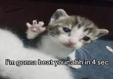 Borangecarmeme I'm gonna beat your ahh in 4 sec