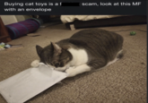 Buying cat toys is a f with an envelope scam, look at this MF