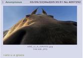 : Anonymous 03/09/22(Wed)05:35:51 No.4097292 >are u a grass ARE_U_A_GRASS.jpg 194 KB JPG