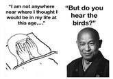 "I am not anywhere near where I thought I would be in my life at this age...." "But do you hear the birds?"