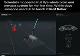 Scientists mapped a fruit fly's whole brain and nervous system for the first time. Within days someone used RL to teach it Beat Saber Among Us Trap Remix Leonz Hard 188 BPM 4 NEURAL ACTIVITY 165,122 neurons 25.56M connections 135 foreleg motor neurons NEURAL MOTOR REHEARSAL Activity 0-200+ Hz
