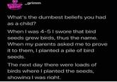 _grimm What's the dumbest beliefs you had as a child? When I was 4-5 I swore that bird seeds grew birds, thus the name. When my parents asked me to prove it to them, I planted a pile of bird seeds. The next day there were loads of birds where I planted the seeds, showing I was right.