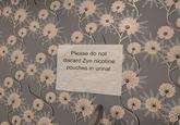 * Please do not discard Zyn nicotine pouches in urinal