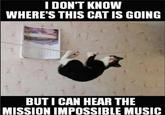I DON'T KNOW WHERE'S THIS CAT IS GOING BUT I CAN HEAR THE MISSION IMPOSSIBLE MUSIC