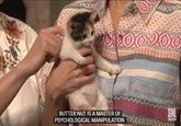 BUTTER NUT IS A MASTER OF PSYCHOLOGICAL MANIPULATION. SNL SUBSCRIBE