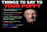 THINGS TO SAY TO YOUR PUPPY "You contribute nothing to this household." "Do not eat my rare fish." "I'll see you in court." "I have connections that can shut you down in an instant, buddy." "Scoot over. That's my uncle's seat." "Name THREE (3) countries." "I love you, buddy."