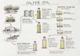 OLIVE OIL FROM OLIVE TO OIL EXTRA VIRGIN OLIVE OIL - COLD PRESSED - RICH FLAVOR & AROMA -HIGH IN POLYPHENOLS HIGHEST QUALITY & MOST NUTRIENTS REFINED OLIVE OIL ( PROCESSED) DEGUMMING (REMOVES PHOSPHOLIPIDS) NEUTRALIZATION (REMOVES FREE FATTY ACIDS) 1. OLIVE ORCHARD STORAGE STORAGE - UNREFINED - LOW ACIDITY 2. OLIVES OLIVE MILL 3. PROCESSING PLANT (MILL) NATURAL OLIVE OILS (NO REFINING) VIRGIN OLIVE OIL - COLD PRESSED - UNREFINED - HIGHER ACIDITY THAN EVOO - GOOD FOR COOKING BLEACHING (REMOVES COLOR & IMPURITIES) DEODORIZATION (REMOVES ODOR & VOLATILES). 4. WASTE (OLIVE POMACE) OLIVE POMACE OIL (SOLVENT EXTRACTED) - EXTRACTED USING SOLVENTS FROM OLIVE POMACE - REFINED BEFORE CONSUMPTION - LOWEST QUALITY REFINED OLIVE OIL - REFINED - NEUTRAL FLAVOR -HIGH SMOKE POINT - GOOD FOR HIGH HEAT COOKING OLIVE OIL (BLEND) - A BLEND OF REFINED OLIVE OIL AND VIRGIN OR EXTRA VIRGIN OLIVE OIL - BALANCED FOR FLAVOR & VALUE NOT THE SAME AS EXTRA VIRGIN OR VIRGIN OLIVE OIL GOOD FOR DAILY COOKING & VERSATILE USE