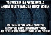 YOU WAKE UP IN A FANTASY WORLD AND GET YOUR "CHARACTER SELECT" SCREEN. YOU CAN DECIDE TO BE ANY RACE/CLASS YOU WANT, BUT YOU HAVE TO LIVE WITH WHAT YOU PICK FOR THE LIFE OF YOUR CHARACTER. WHAT ARE YOU PICKING? imgflip.com