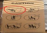 CAUTION 蔡 0-30