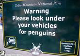 Table Mountain National Park Warning Please look under your vehicles for penguins D Sponsored by Boulders Beach Lodge boredpanda.com