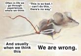 Often in life we go through experiences where we think: "This is so bad, I can't do this, there's no way" And usually when we think this We are wrong.