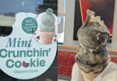 New! Mint with Choco Cookie Crumbles Mint Crunchin' Cookie Dipped Cone