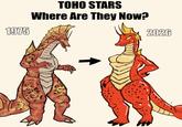 1975 TOHO STARS Where Are They Now? 2026