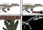 A CRACK