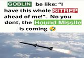 GOBLIN be like: "I have this whole SITREP ahead of me!". No you dont, the Hound Missile is coming →