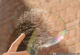 PERFECTLY TIMED PHOTOS.COM