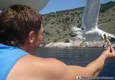 PERFECTLY TIMED PHOTOS.COM