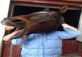 PERFECTLY TIMED PHOTOS.COM