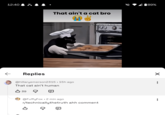 12:40 ← Replies That ain't a cat bro 189% Starrystical @hillaryemerson2315 • 15h ago That cat ain't human B39 @FuffyFox • 2 min ago r/technicallythetruth ahh comment B ✗ ÷