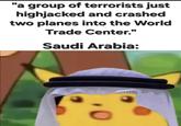 . "a group of terrorists just highjacked and crashed two planes into the World Trade Center." Saudi Arabia: