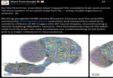 News from Google ⭑ G G @NewsFromGoogle For the first time, scientists have mapped the complete brain and central nervous system of an adult male fruit fly - a key model organism in science. Working alongside HHMI Janelia Research Campus and the scientific community, @Google Research scientists and researchers used Al to combine millions of 2D images into 3D neural shapes, reconstructing a record-breaking 166,000+ neurons. This foundational map of the adult male fruit fly brain can help accelerate our understanding of the brain, and is a major milestone in neuroscience. ALT ALT