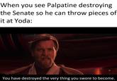 When you see Palpatine destroying the Senate so he can throw pieces of it at Yoda: You have destroyed the very thing you swore to become.
