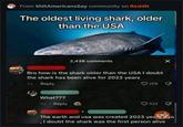 From ShitAmericansSay community on Reddit The oldest living shark, older than the USA 2,438 comments Bro how is the shark older than the USA I doubt the shark has been alive for 2023 years 3d Reply What??? 3d Reply 298 333 X The earth and usa was created 2023 years ago , I doubt the shark was the first person alive