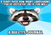 A DIARY OVER HOW MANY LANDSHARKS YOU'VE DEFEATED. OR, IF YOU WILL A BULETTE JOURNAL