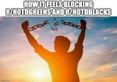 HOW IT FEELS BLOCKING R/HOTDGREENS AND R/HOTDBLACKS imgflip.com