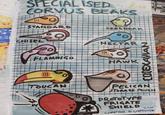 SPECIALISED/7/26 CORVUS BEAKS ISL STANDARD SEEDBEAK CHISEL NECTAR FLAMINGO HAWK {B[EXAVIAN TOUCAN W PELICAN STORAGE POUCH PROTOTYPE FRIGATE SHIELD 2900 CHAPTER DISAPPROVED AL