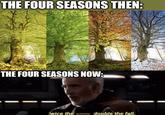 THE FOUR SEASONS THEN: THE FOUR SEASONS NOW: twice the summer double the fall.