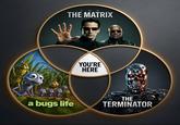 THE THE MATRIX YOU'RE HERE a bugs life THE S TERMINATOR