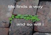 life finds a way and so will i