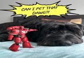 CAN I PET THAT DAWG?!