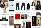 android one Always has an android. 50/50 on whether or not the screen is cracked LOVES corny "dark humor" 26 Middle/high schooler with a fully-grown mustache starter pack ΑΛΑ Always wears some combination of these three (though will wear tan cargo shorts once a year, for whatever reason) Always part of a nerdish "USSR 00" friend group Good at working computers, but never anything released after 2015 Their profile picture is a 50/50 between one of these two things 23307 АЯЛЗАГИ Always has a girlfriend who always looks like this This will be on no matter what Has probably played this at least once Owns a pair of knockoff AirPods that will always be in, unless a teacher notices and asks for them to be taken out Eternally half-grown sideburns HEARTS OF IRON IV Either an absolute puppy or a spawn of Satan, no in-between