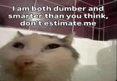 I am both dumber and smarter than you think, don't estimate me