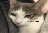 Go away b