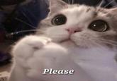 Please