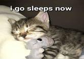 i go sleeps now