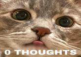 O THOUGHTS