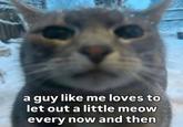 a guy like me loves to let out a little meow every now and then