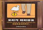 ! 오리가 따라와요 Please check for ducks behind you 请留意身后的鸭子。 zoolung zoolung