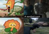 A spoiled c---.