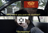 SPQR Why cant you just be normal? *Screams*
