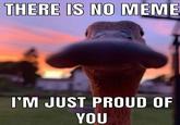 THERE IS NO MEME I'M JUST PROUD OF YOU