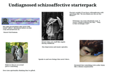 Undiagnosed schizoaffective starterpack This system is often blurry. Has split personalities that aren't DID (some "alters" absolutely believe in this crap and perpetrate it). Doesn't feel human. Believes they're an actual god or something. Dove into spirituality thinking they're gifted. Swears they saw stuff like angels during childhood. Has depression and manic episodes. Speaks to and sees beings that aren't there. Parents wonder if you have schizophrenia with questions like "Do you think you can see the future?" Delusions can seem absolutely real. "I swear I found evidence for this." "Why is that seemingly real?" Paranoid that something evil is after them like a demon organization