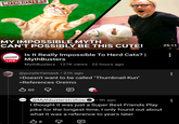 MYTHBUSTERS MY IMPOSSIBLE MYTH CAN'T POSSIBLY BE THIS CUTE! MYTHBUSTERS LIVE Is It Really Impossible To Herd Cats? | MythBusters MythBusters. 127K views 22 hours ago @purpleYamask⚫ 21h ago >Doesn't want to be called "Thumbnail-Kun" >References Oreimo B 60 @Mythbusterstvshow . 9h ago I thought it was just a Super Best Friends Play joke for the longest time, I only found out about what it was a reference to years later B8 25:11
