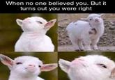 When no one believed you. But it turns out you were right