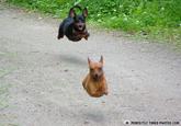 PERFECTLY TIMED PHOTOS.COM