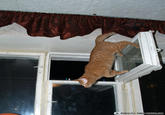 PERFECTLY TIMED PHOTOS.COM
